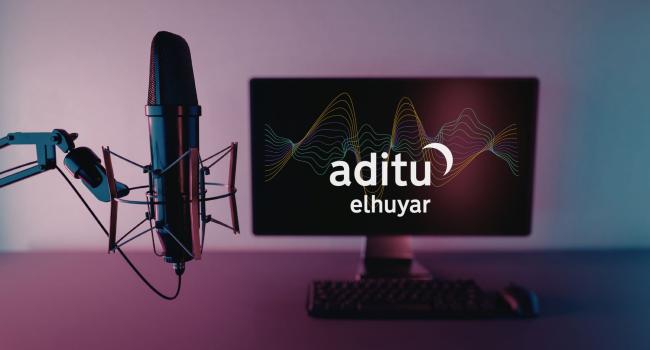 Aditu bikoizketa-plataforma