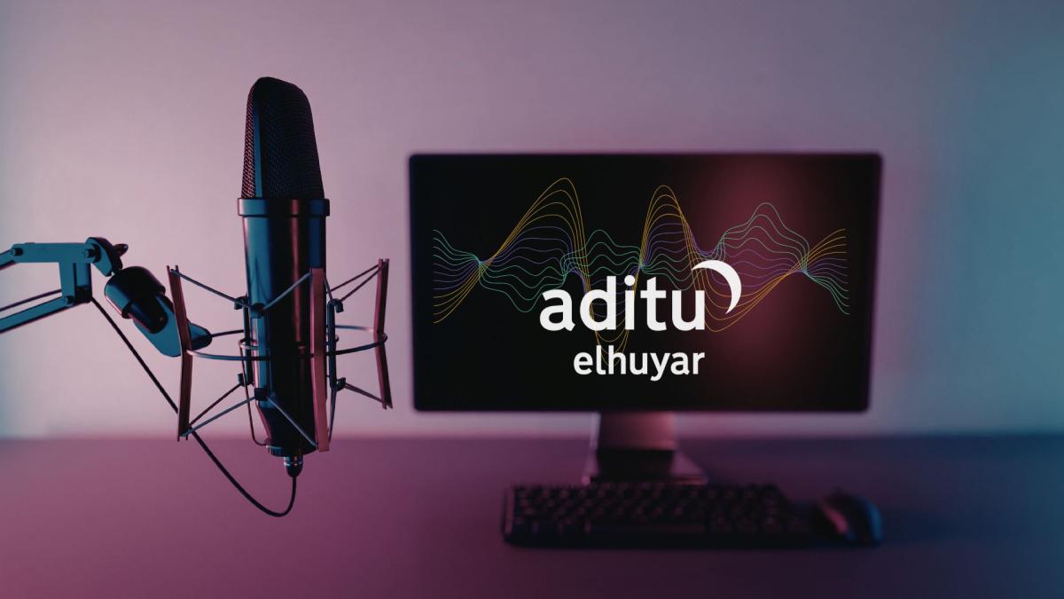 Aditu bikoizketa-plataforma